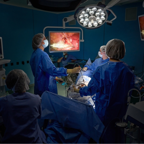 laparoscopic metroplasty